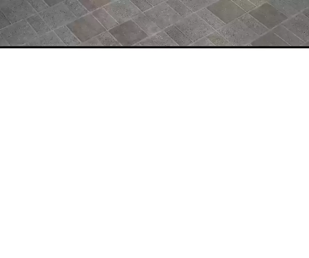 Suspense Cat: Collected Stories of Midnight Chapter 4 page 39 - 