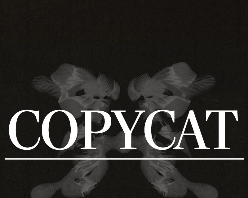 Suspicion of Plagiarism Chapter 9 page 73 - 