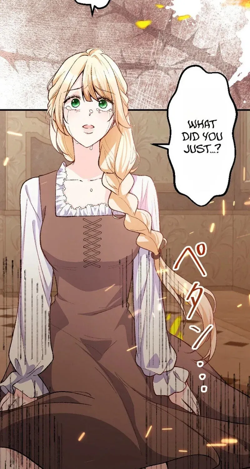 Sute Koma no Hanayome wa, Otto no Himitsu o Shitte Iru Chapter 1 page 117 - 