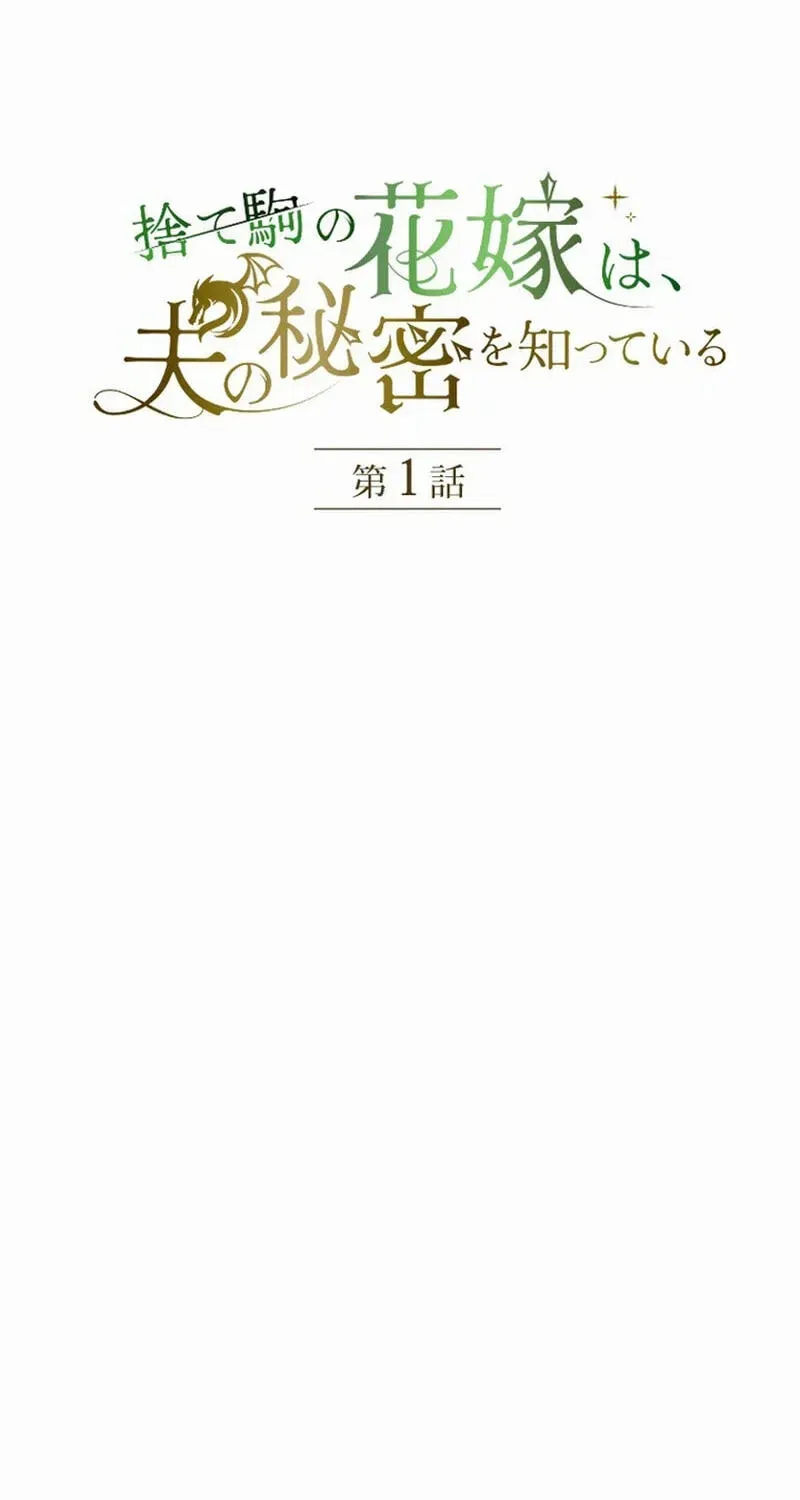 Sute Koma no Hanayome wa, Otto no Himitsu o Shitte Iru Chapter 1 page 31 - 