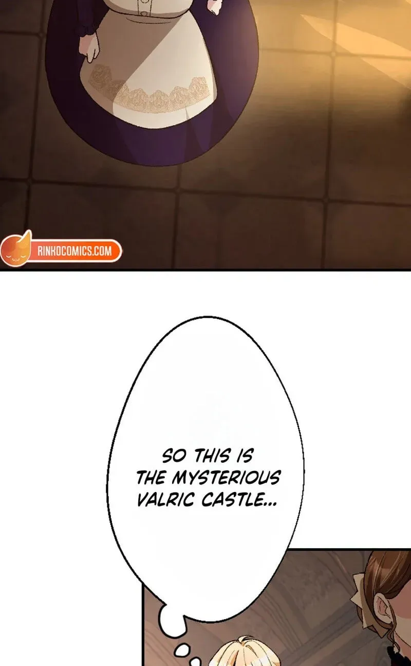 Sute Koma no Hanayome wa, Otto no Himitsu o Shitte Iru Chapter 2 page 19 - 