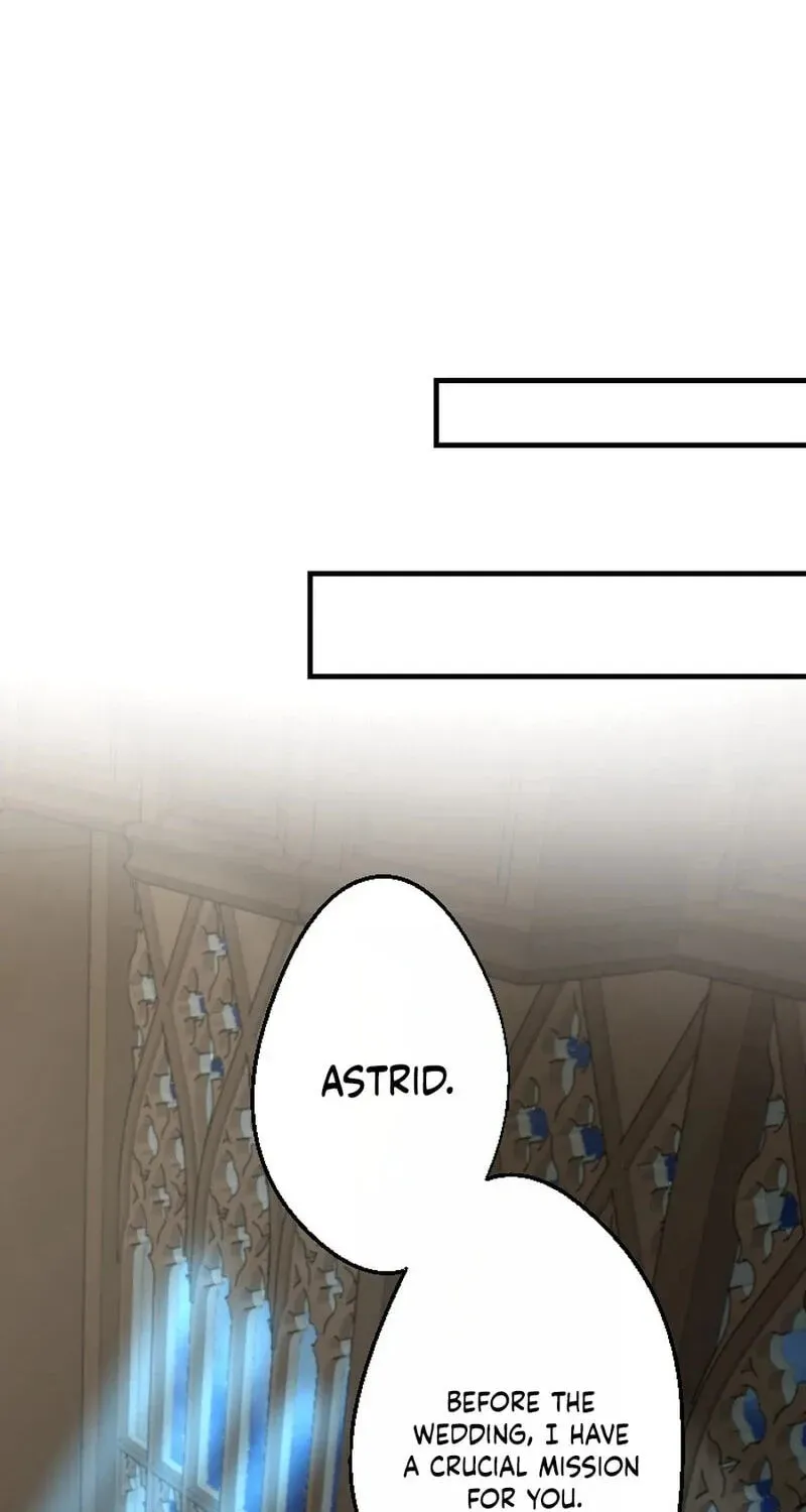Sute Koma no Hanayome wa, Otto no Himitsu o Shitte Iru Chapter 3 page 12 - 