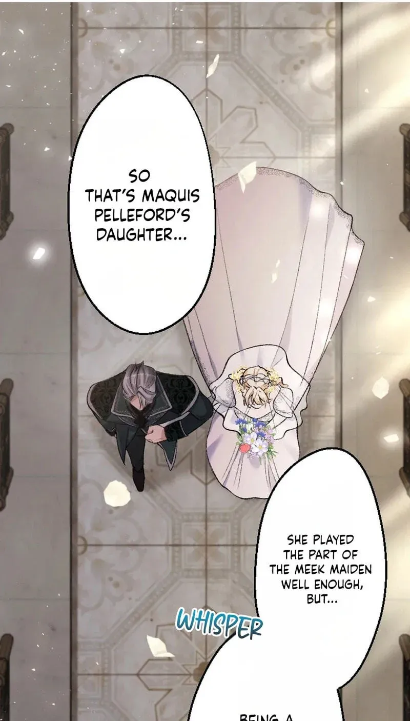 Sute Koma no Hanayome wa, Otto no Himitsu o Shitte Iru Chapter 3 page 87 - 