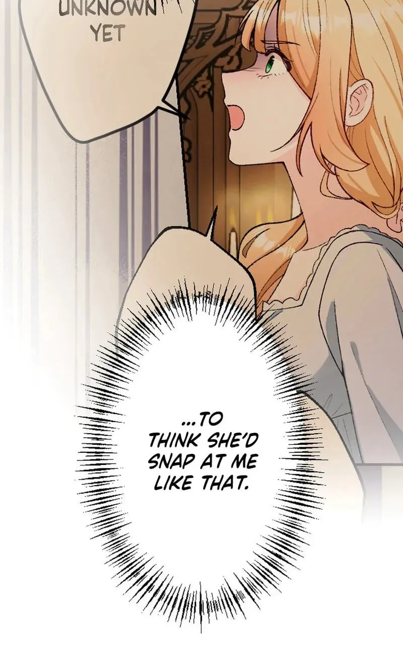 Sute Koma no Hanayome wa, Otto no Himitsu o Shitte Iru Chapter 6 page 11 - 