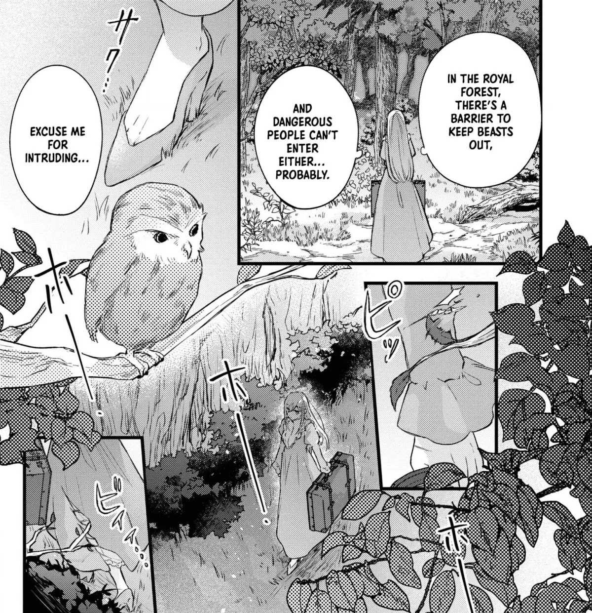 Suterare Danshaku Reijou wa Kuro Kishi-sama no Okiniiri Chapter 1 page 34 - 