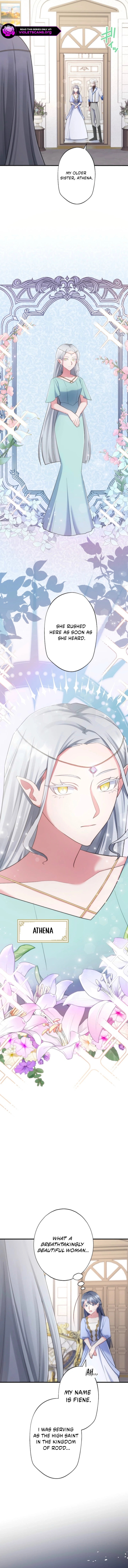 Suterareta Dai Seijo wa Elf Kara Dekiai Sarete Jikoku ni Maimodoru Chapter 13 page 23 - 