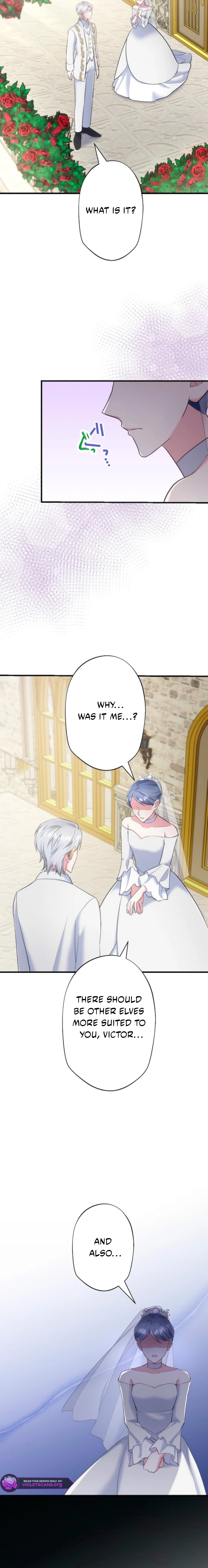 Suterareta Dai Seijo wa Elf Kara Dekiai Sarete Jikoku ni Maimodoru Chapter 17 page 14 - 