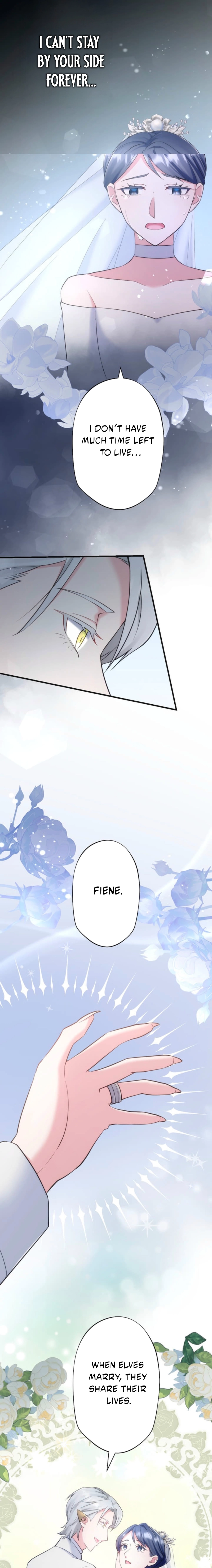 Suterareta Dai Seijo wa Elf Kara Dekiai Sarete Jikoku ni Maimodoru Chapter 17 page 15 - 