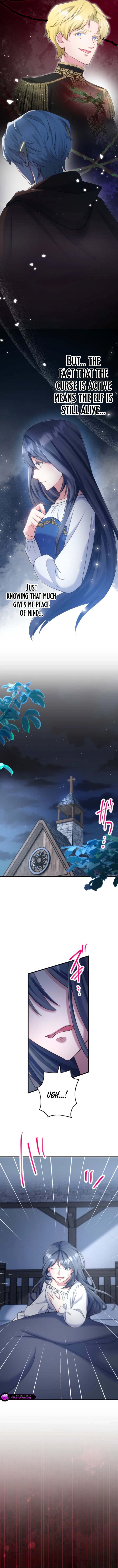 Suterareta Dai Seijo wa Elf Kara Dekiai Sarete Jikoku ni Maimodoru Chapter 5 page 14 - 