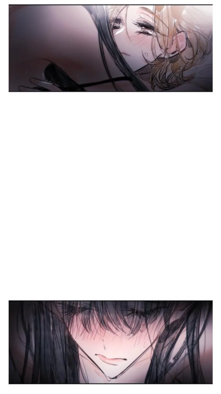 Swallow Tail Chapter 37.5 page 94 - 