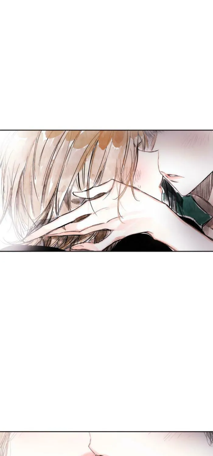 Swallowtail (Tima) Chapter 36 page 80 - 