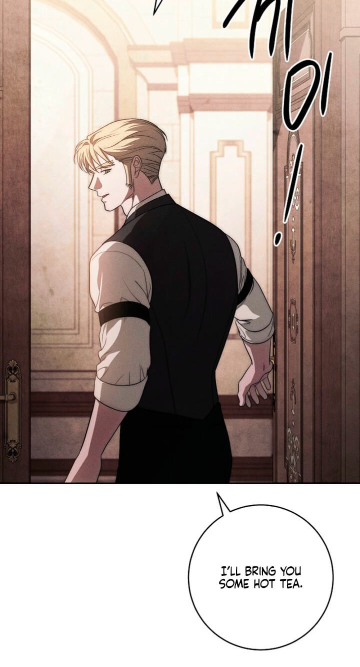 Swan