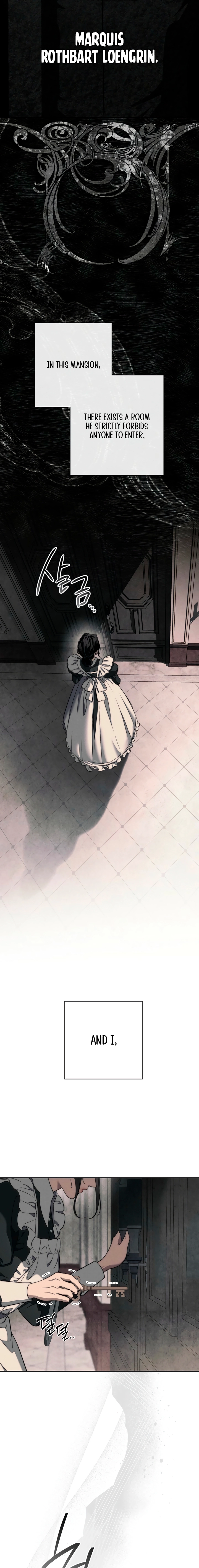Swan