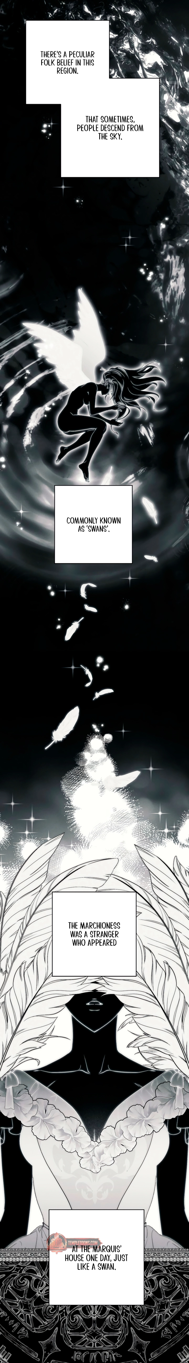 Swan