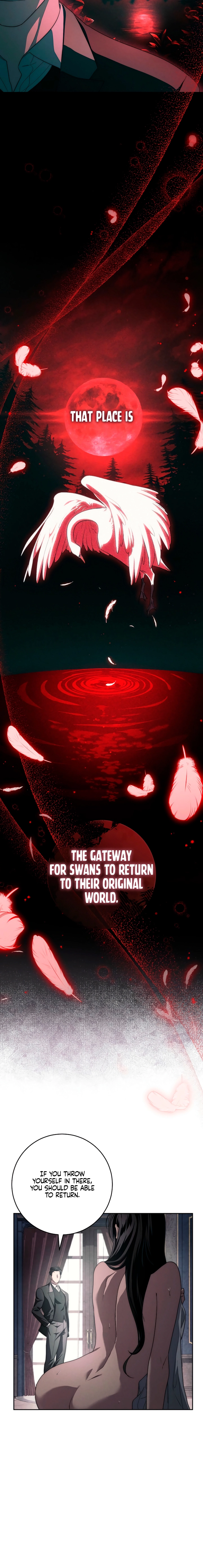 Swan