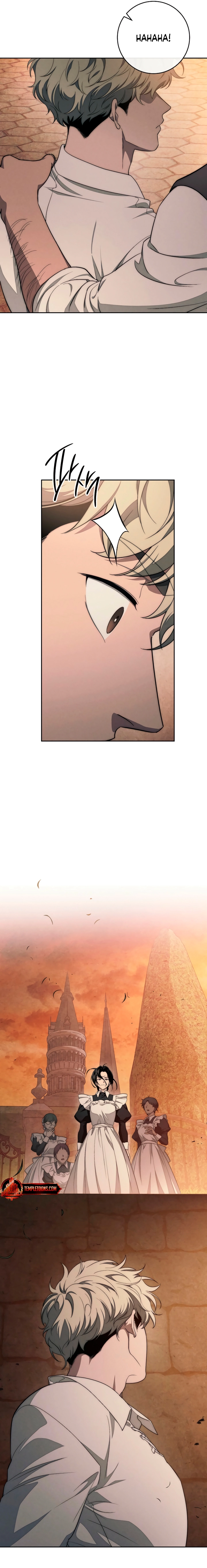 Swan