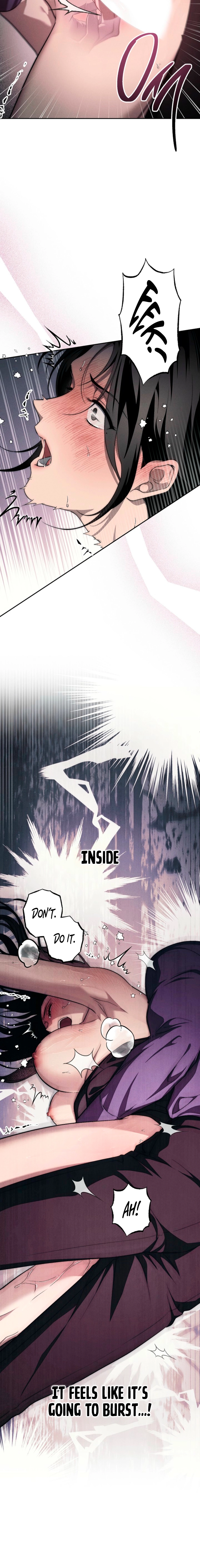 Swan