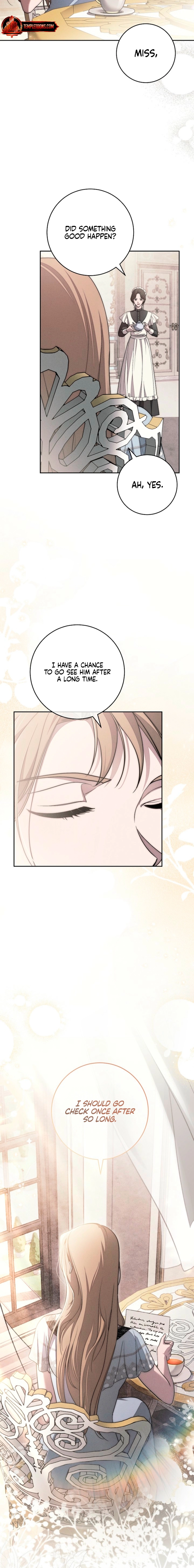 Swan