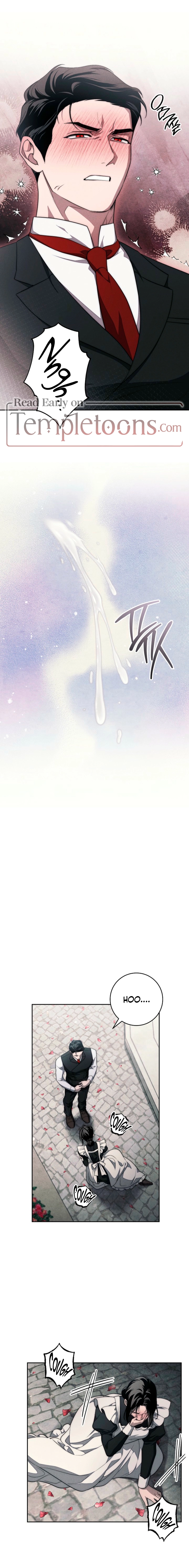 Swan