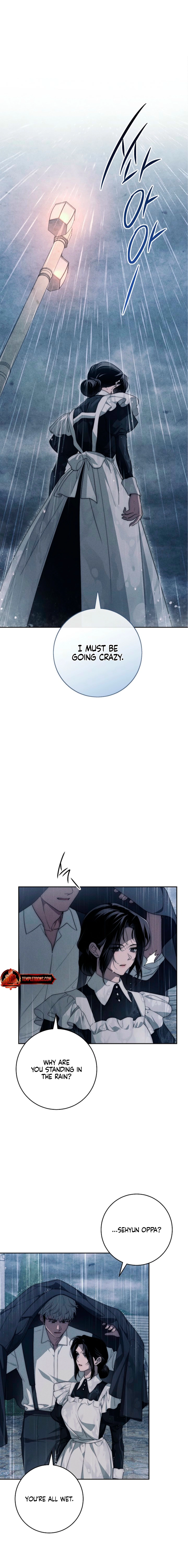 Swan
