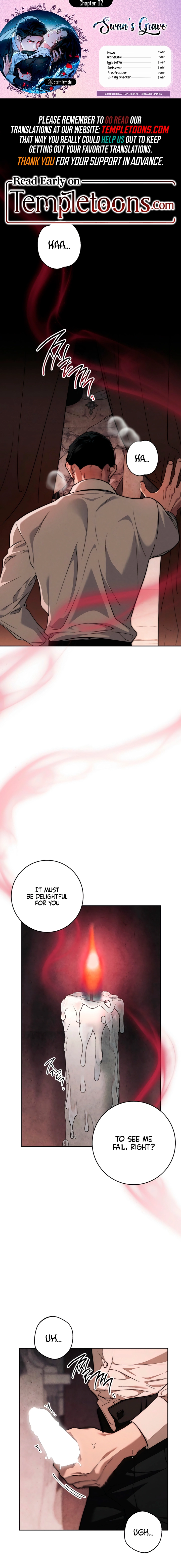 Swan