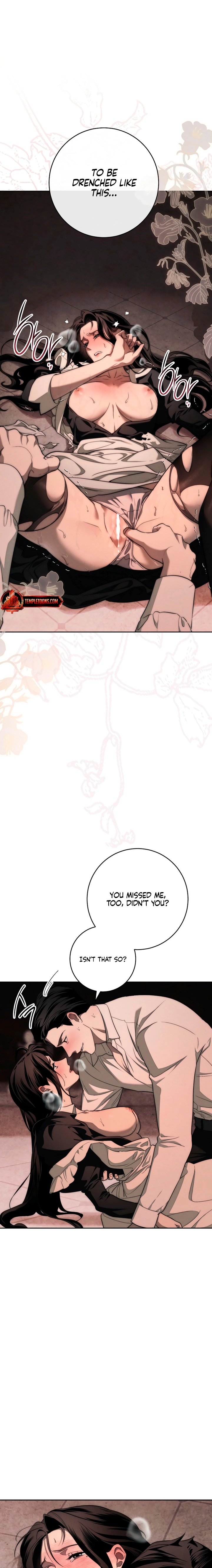 Swan
