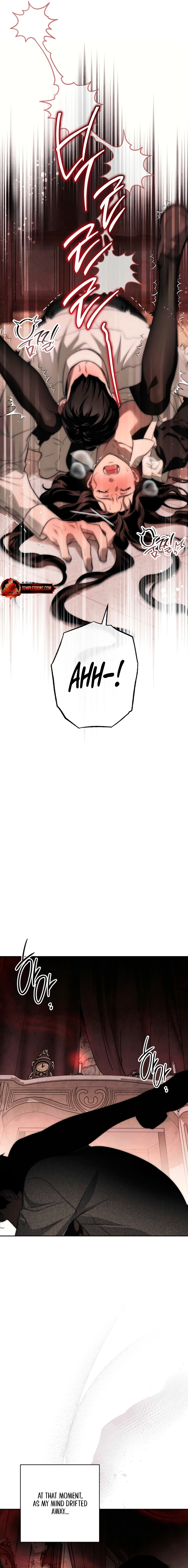 Swan