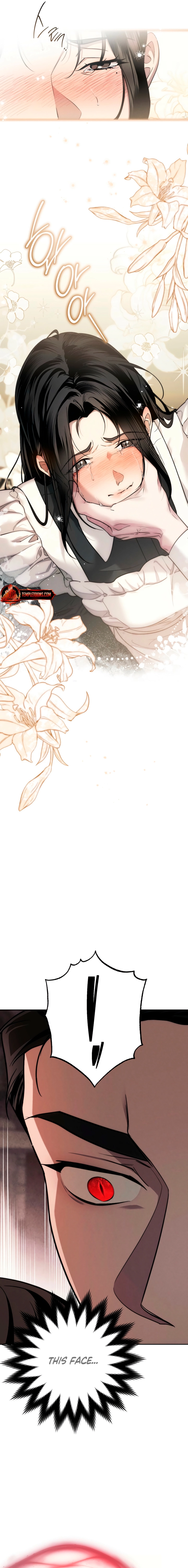 Swan