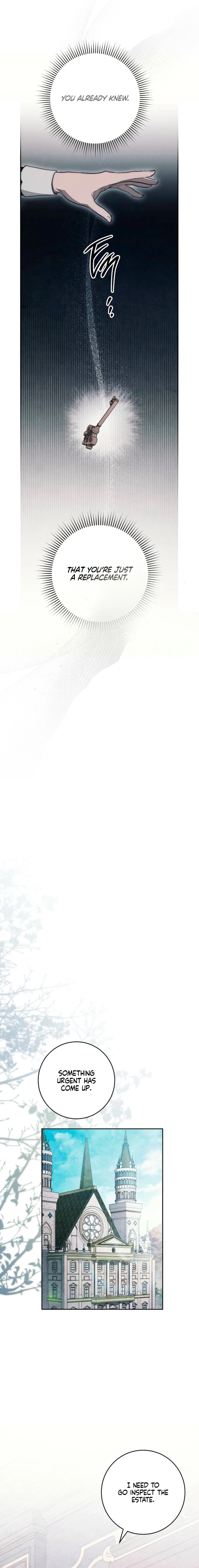 Swan