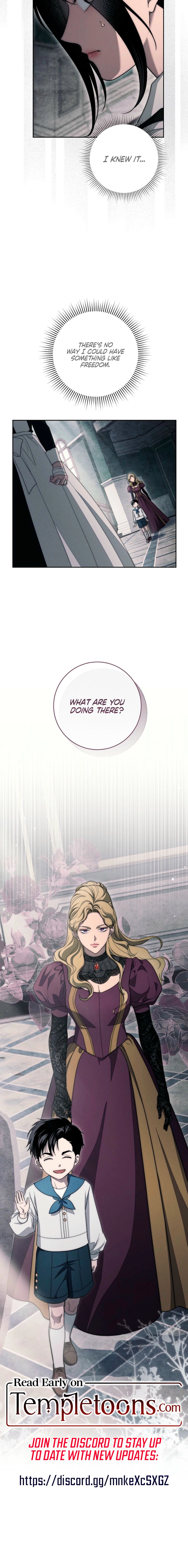 Swan