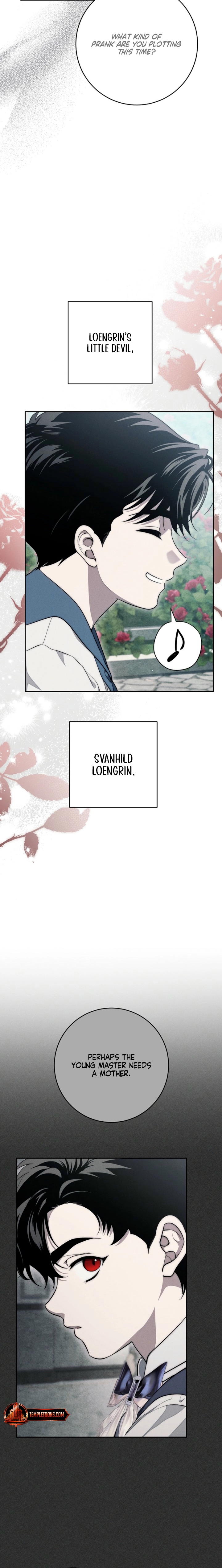 Swan