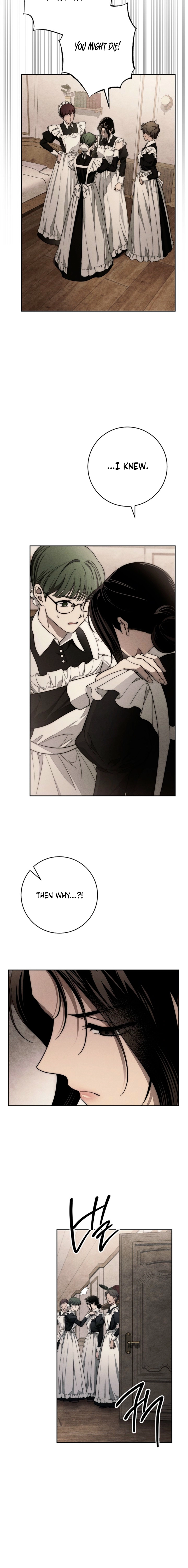 Swan