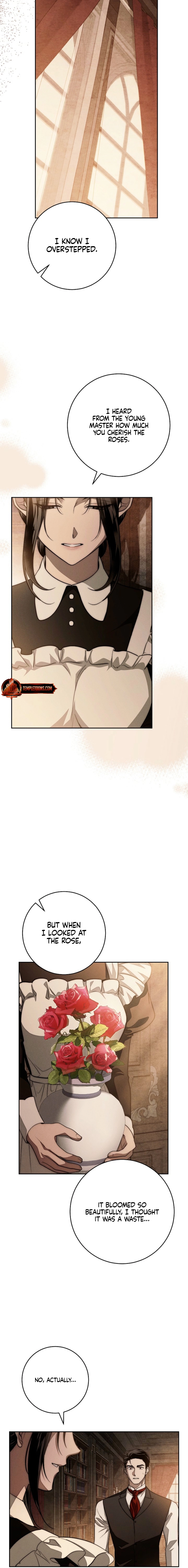 Swan