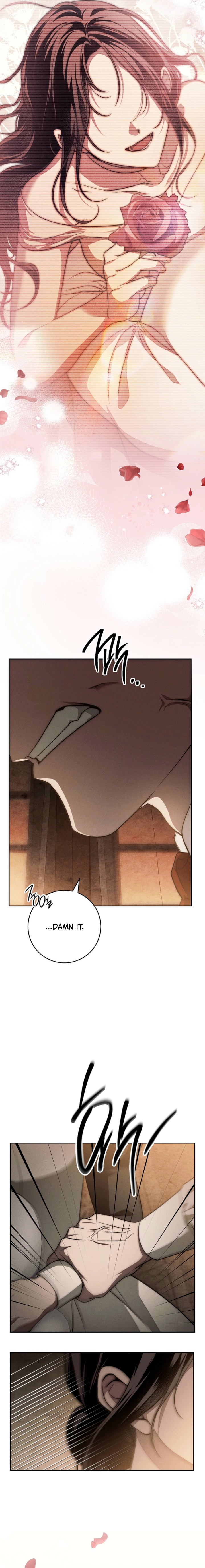 Swan