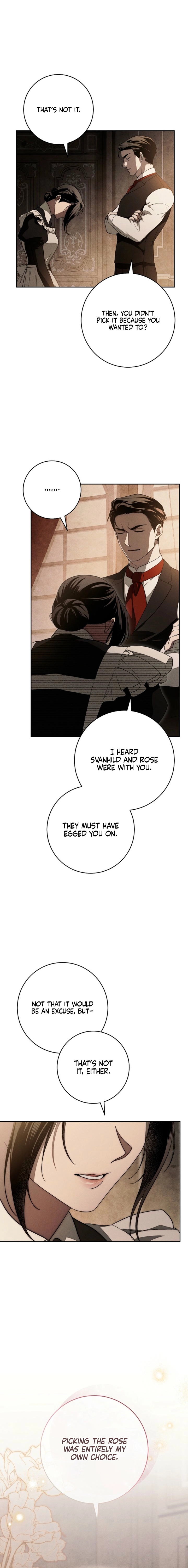Swan