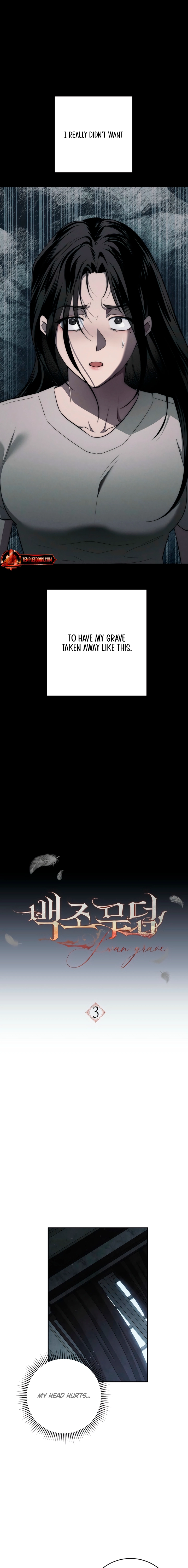 Swan
