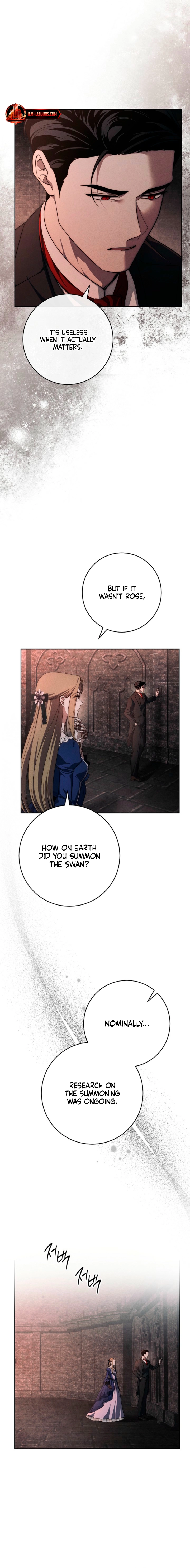 Swan
