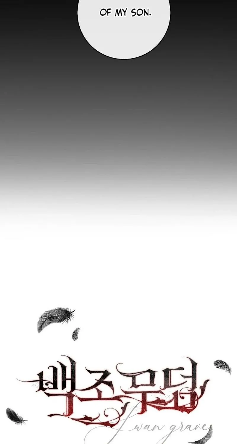 Swan