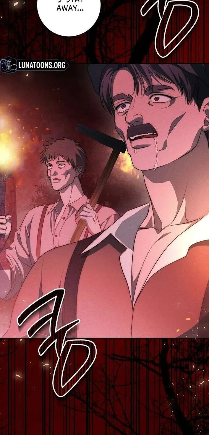 Swan