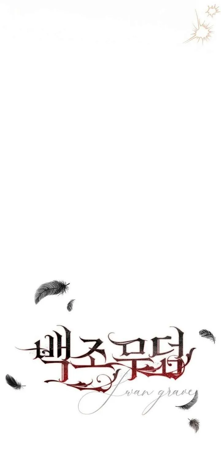 Swan