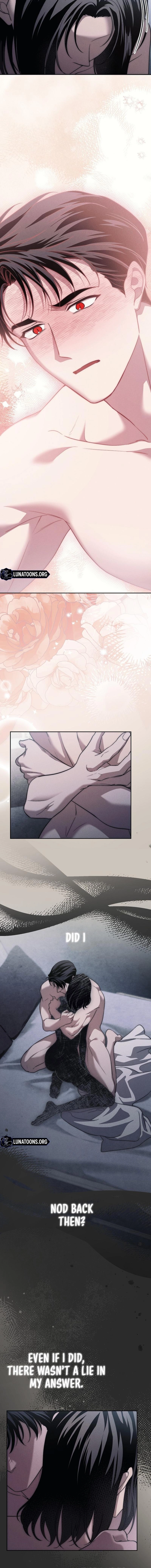 Swan