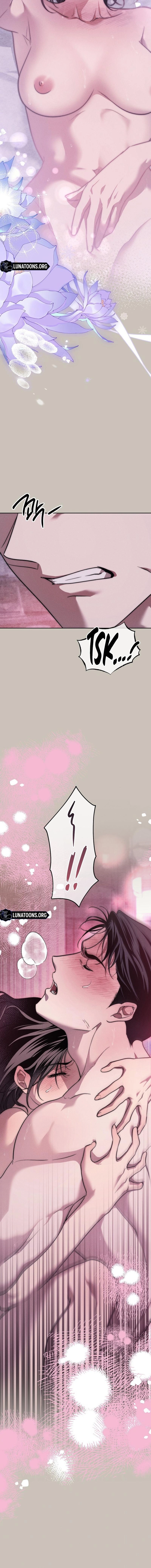Swan