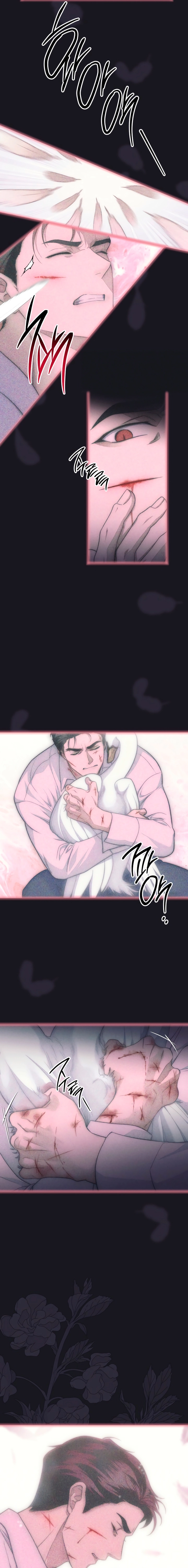 Swan