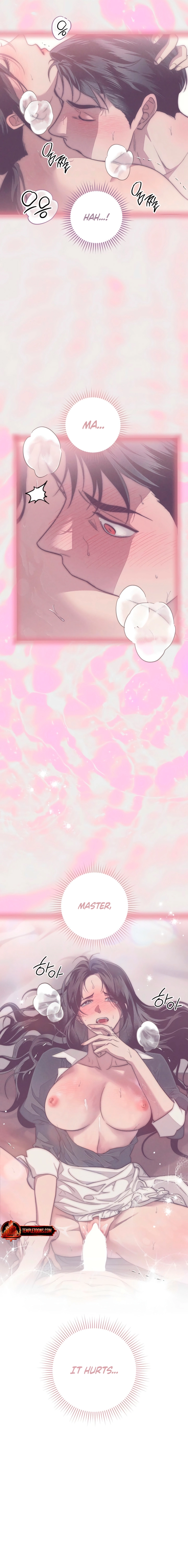 Swan