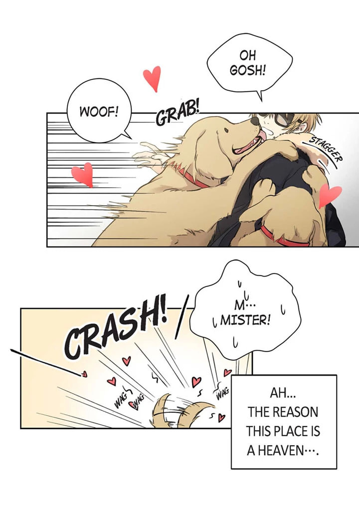 Sweet Caress Chapter 1 page 12 - 