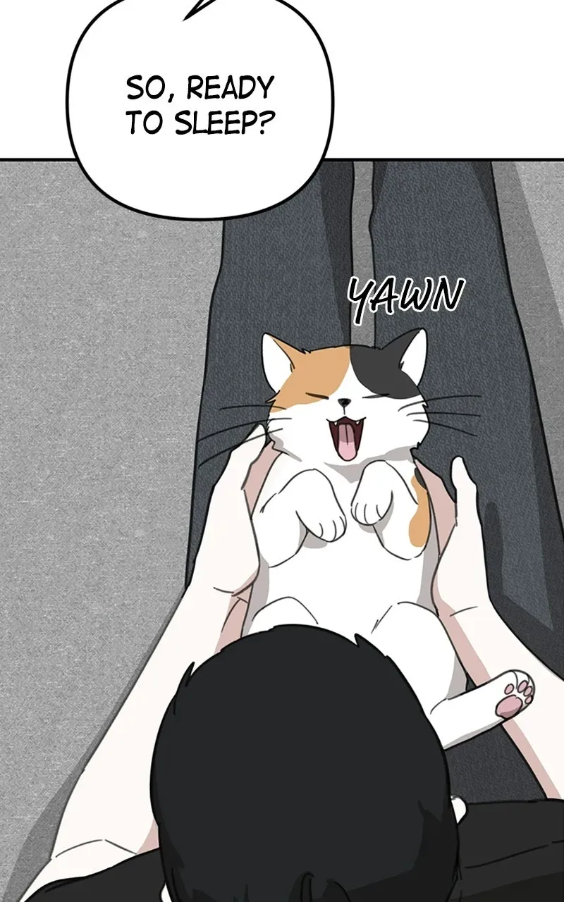 Sweet Romance, Spicy Roommates Chapter 11 page 71 - 
