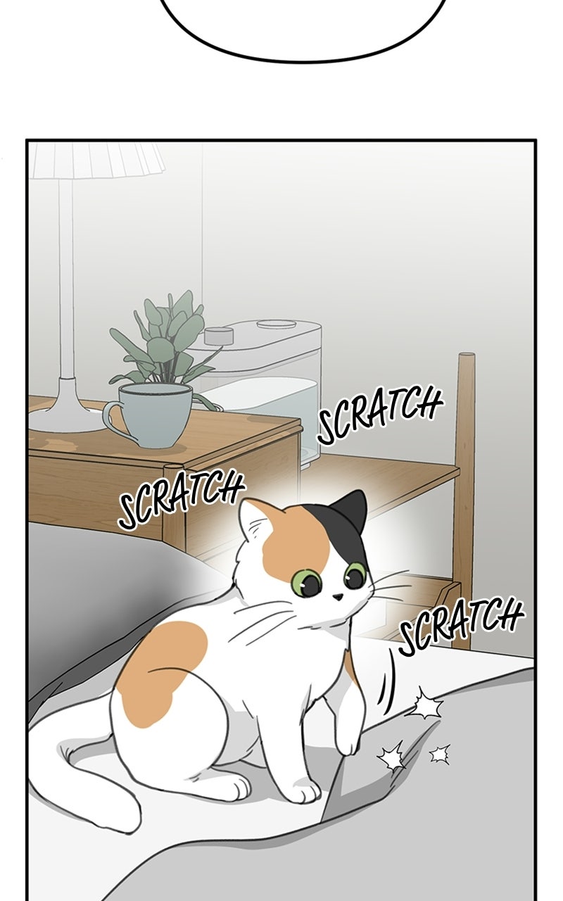 Sweet Romance, Spicy Roommates Episode 8 page 44 - 