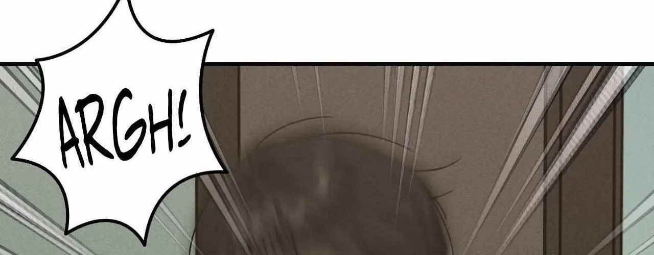 Symbiotic Relationship Between the Sun and the Moon Chapter 11 page 18 - 