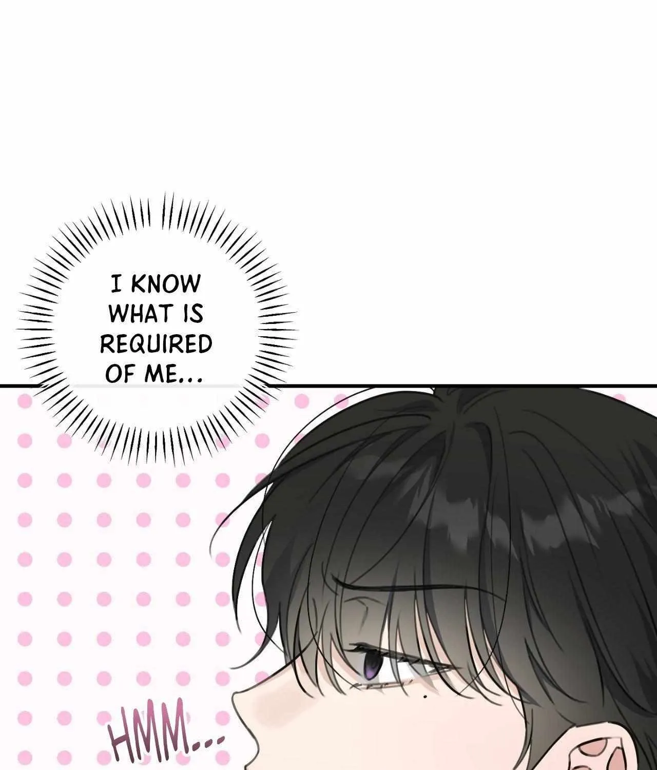 Symbiotic Relationship Between the Sun and the Moon Chapter 13 page 95 - 