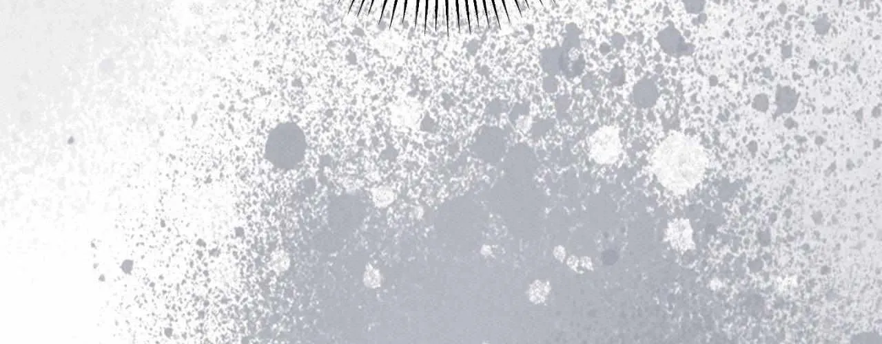Symbiotic Relationship Between the Sun and the Moon Chapter 17 page 150 - 